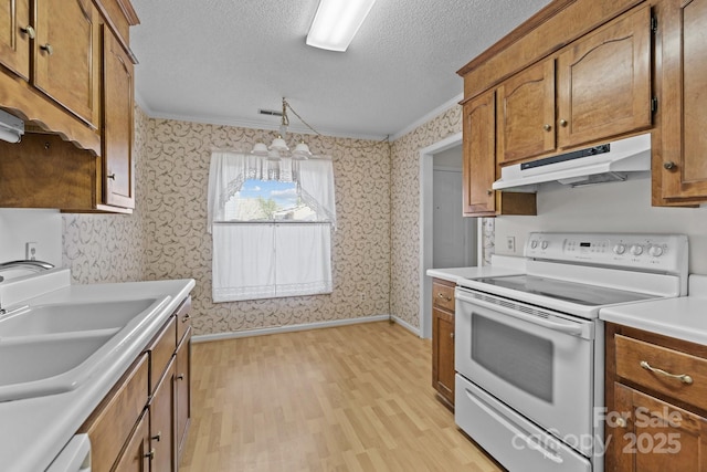 234 Pointe Cir, Rock Hill, SC 29732 - kitchen featuring white electric range oven, under cabinet range hood, wallpapered walls, light wood-type flooring, and a textured ceiling
