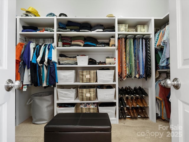 walk in closet with carpet floors