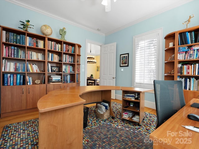 office area with a ceiling fan, wood finished floors, and crown molding