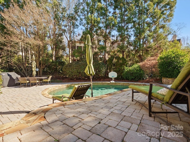 pool with area for grilling, outdoor dining area, and a patio