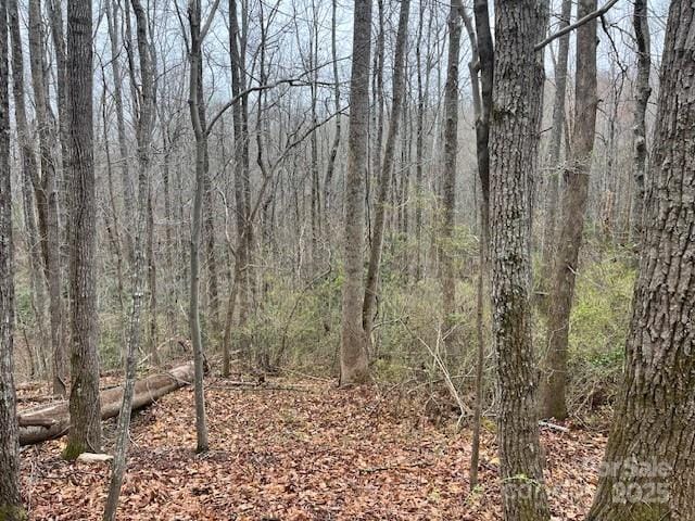 Listing photo 3 for TBD Wilcox Road, Tryon NC 28782