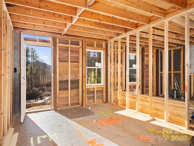 miscellaneous room featuring a wealth of natural light