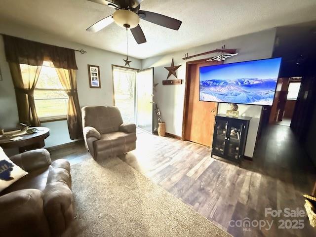 living room featuring ceiling fan and wood finished floors