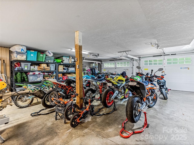 garage with bike storage