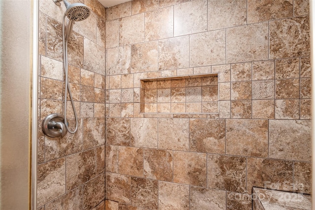 interior details with tiled shower