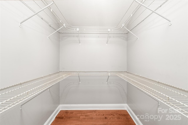 spacious closet with wood finished floors