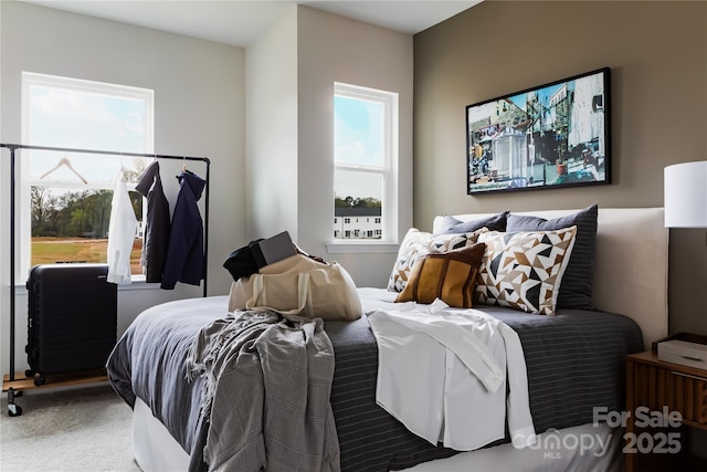 bedroom with carpet floors