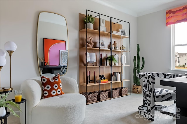 office with carpet and crown molding