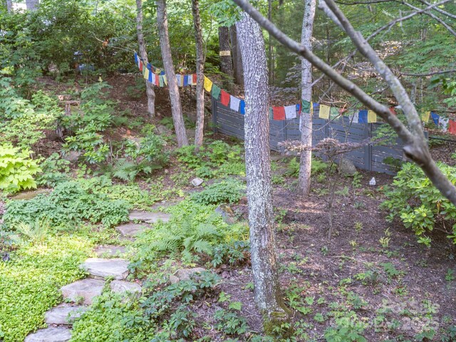 8 Cricket Ln, Asheville, NC 28804 - photo 3