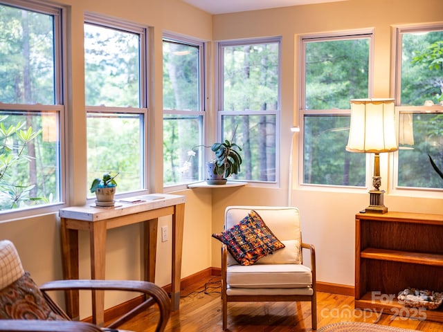 8 Cricket Ln, Asheville, NC 28804 - photo 6