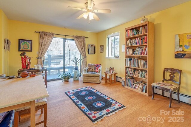 8 Cricket Ln, Asheville, NC 28804 - photo 35