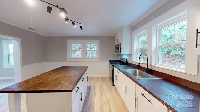 kitchen with a sink, ornamental molding, stainless steel appliances, wood counters, and light wood-type flooring