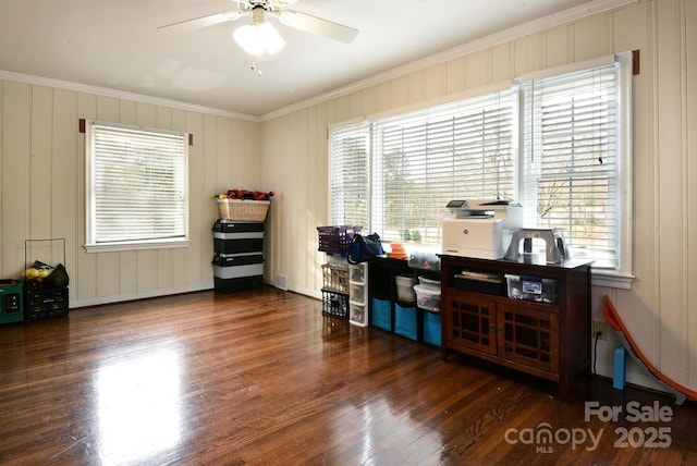 miscellaneous room with plenty of natural light, ornamental molding, and wood finished floors