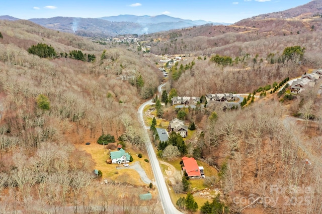 birds eye view of property with a mountain view