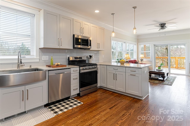 kitchen with ornamental molding, a sink, dark wood finished floors, stainless steel appliances, and a peninsula