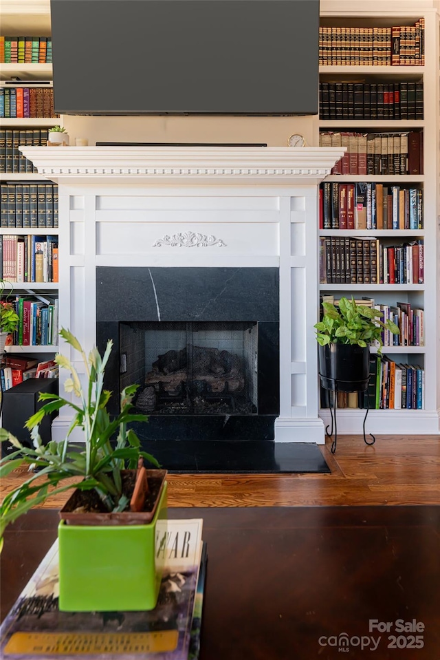 room details featuring a fireplace with flush hearth and wood finished floors