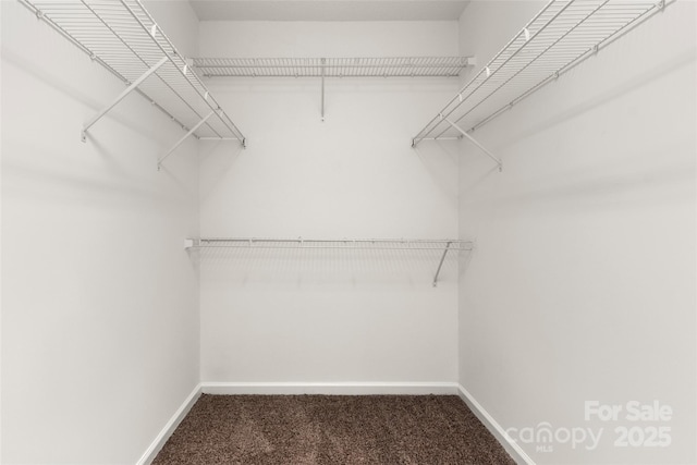 walk in closet with carpet