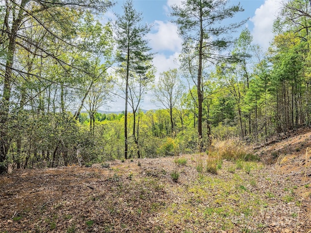 LOT56 Winterberry Dr, Hendersonville NC, 28739 land for sale