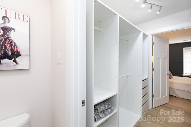 spacious closet featuring light wood-style floors