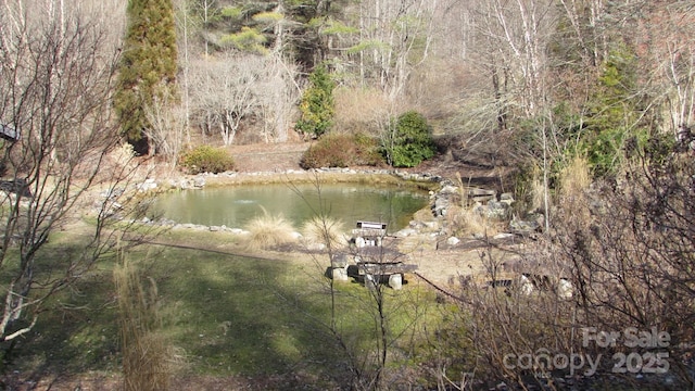 Listing photo 3 for E-7 Red Wolf Run, Mars Hill NC 28754