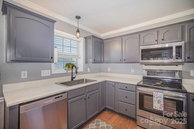 kitchen with gray cabinetry, a sink, wood finished floors, stainless steel appliances, and crown molding