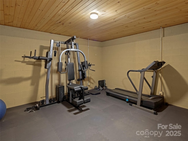 609 N Fork Rd, Black Mountain, NC 28711 - exercise area featuring concrete block wall