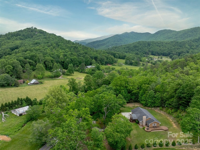 609 N Fork Rd, Black Mountain, NC 28711 - view of subject property with a forest and mountains