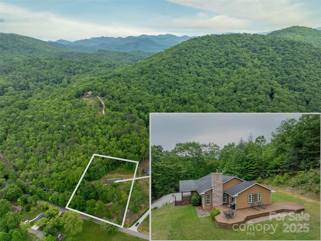 609 N Fork Rd, Black Mountain, NC 28711 - mountain view with a forest