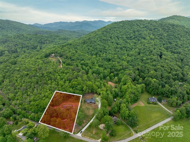 609 N Fork Rd, Black Mountain, NC 28711 - view of property location with a heavily wooded area, property boundaries highlighted, and a mountain backdrop
