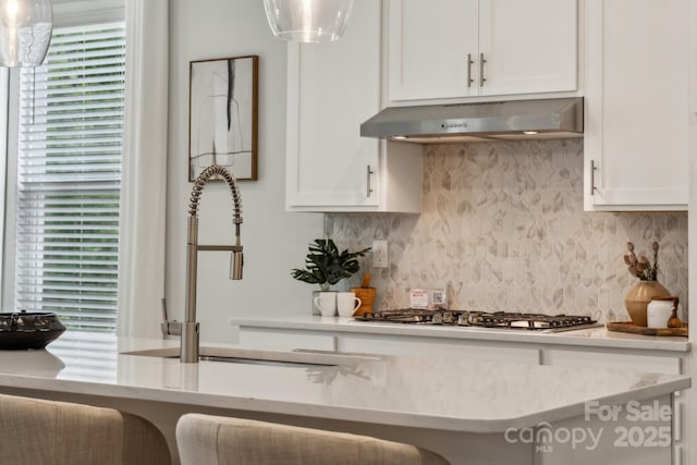 1439 Hubert Graham Way, Tega Cay, SC 29708 - kitchen featuring under cabinet range hood, white cabinetry, tasteful backsplash, and healthy amount of natural light