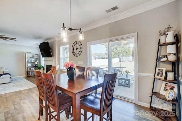 dining space with a ceiling fan, visible vents, crown molding, a fireplace, and wood finished floors