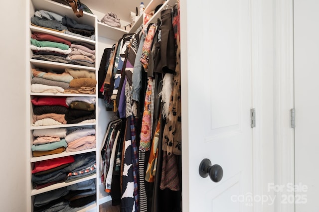 view of closet