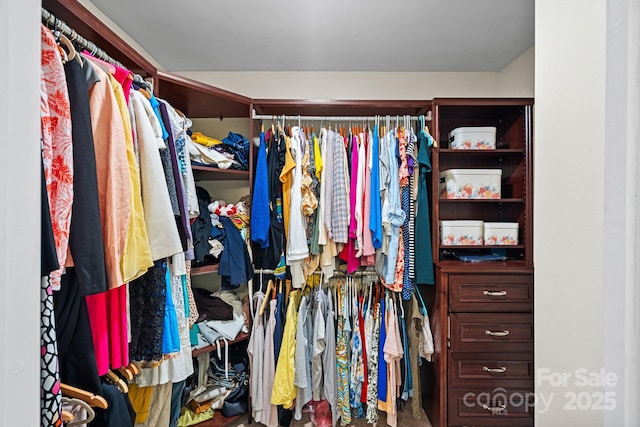 view of walk in closet