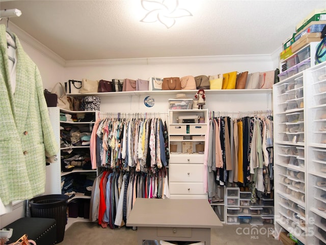 view of spacious closet