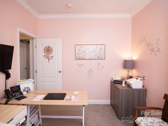 office area featuring baseboards and crown molding