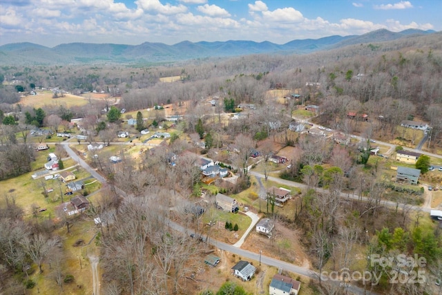 aerial view with a mountain view