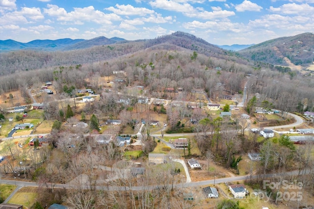 birds eye view of property featuring a mountain view