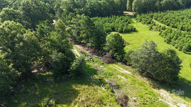 none Woods Ferry Road, Chester, SC 29706 - photo 5