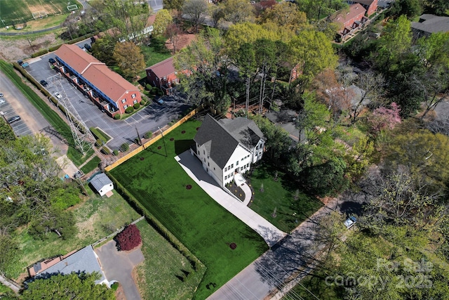 bird's eye view