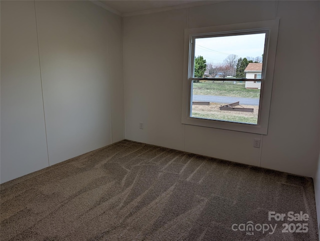 empty room with carpet floors and ornamental molding