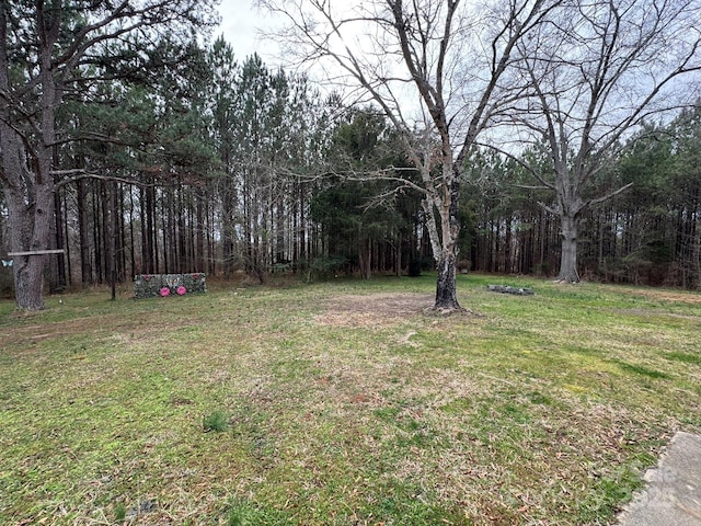 view of yard featuring a wooded view