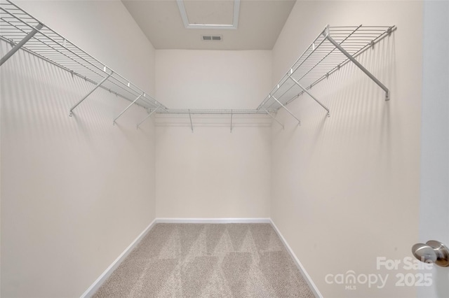 spacious closet with carpet flooring and visible vents