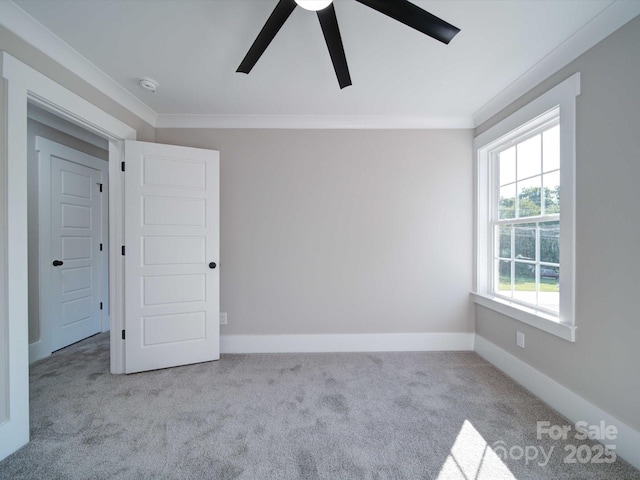 carpeted spare room featuring baseboards, a ceiling fan, and crown molding