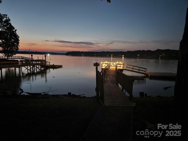 dock area with a water view