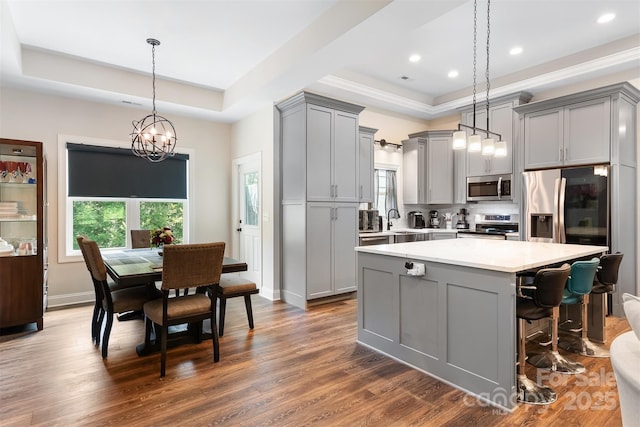 kitchen with a sink, stainless steel appliances, gray cabinetry, a raised ceiling, and a center island