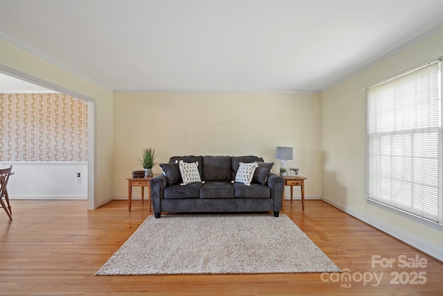 living room featuring light wood-style floors, baseboards, and ornamental molding