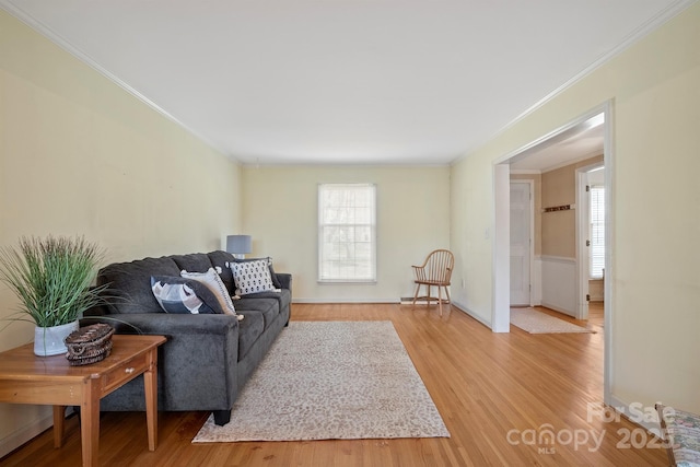 living area with crown molding and light wood-style floors