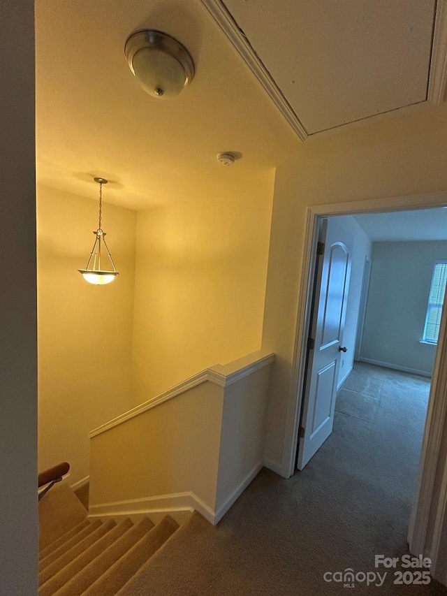 stairway featuring baseboards and carpet floors