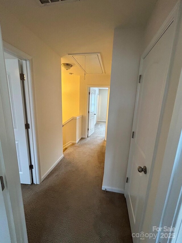 hall with baseboards, carpet floors, and attic access