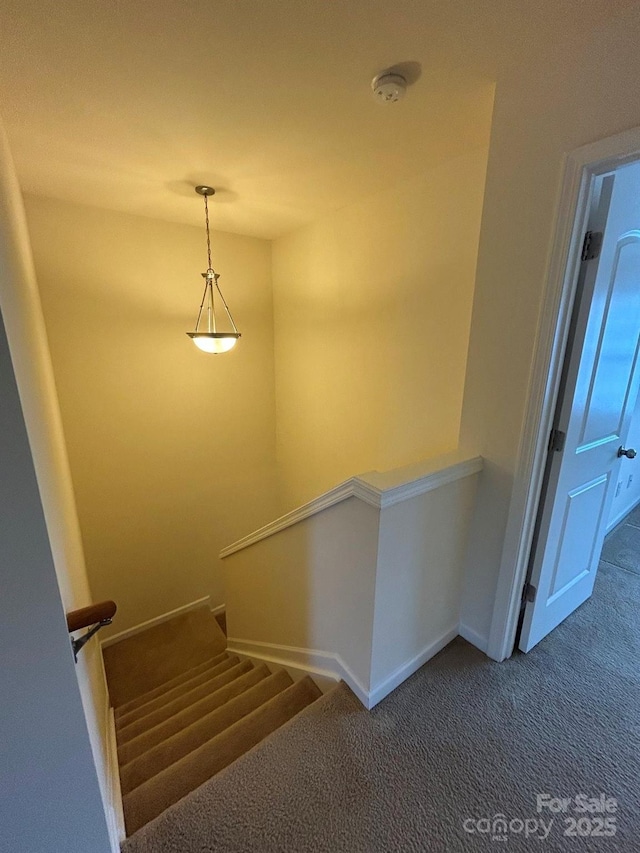 stairway featuring carpet flooring and baseboards